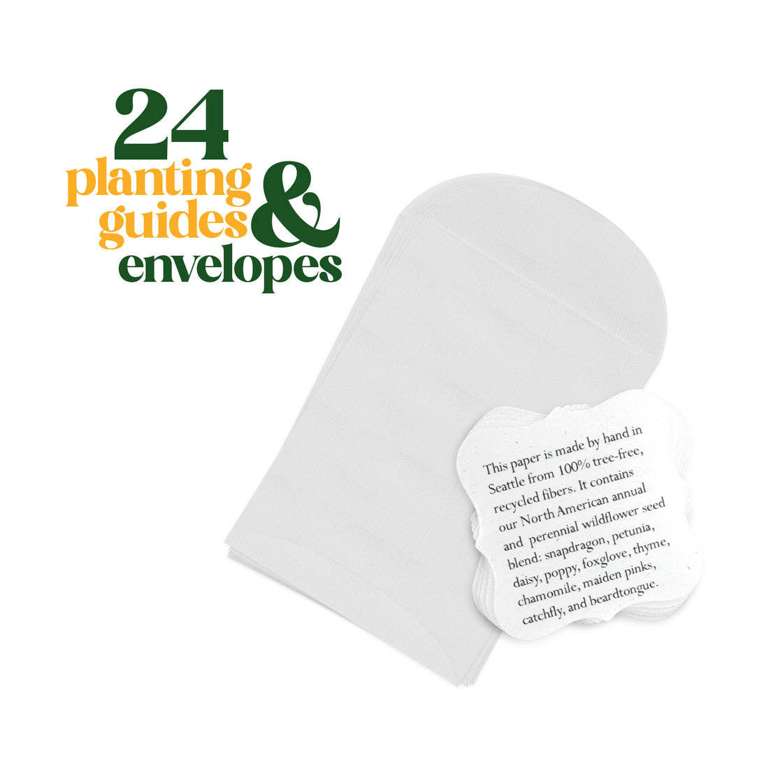 Transparent glassine envelope by Seed Bloom Gifts containing seed paper and planting instructions