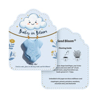 Baby in Bloom baby boy onesie seed paper with Seed Bloom planting guide - light blue 3D onesie with happy cloud design, wildflower seed instructions, and planting steps