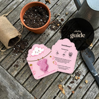 Baby in Bloom onesie seed paper with Seed Bloom planting guide - pink card with instructions displayed on wooden surface with terracotta pot, soil, watering can, and gardening tools
