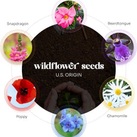 Infographic detailing the six U.S. ORIGIN wildflower seeds (Petunia, Chamomile, Poppy) contained within the Floral Plantable Thank You Seed Paper Tags by Seed Bloom Gifts.