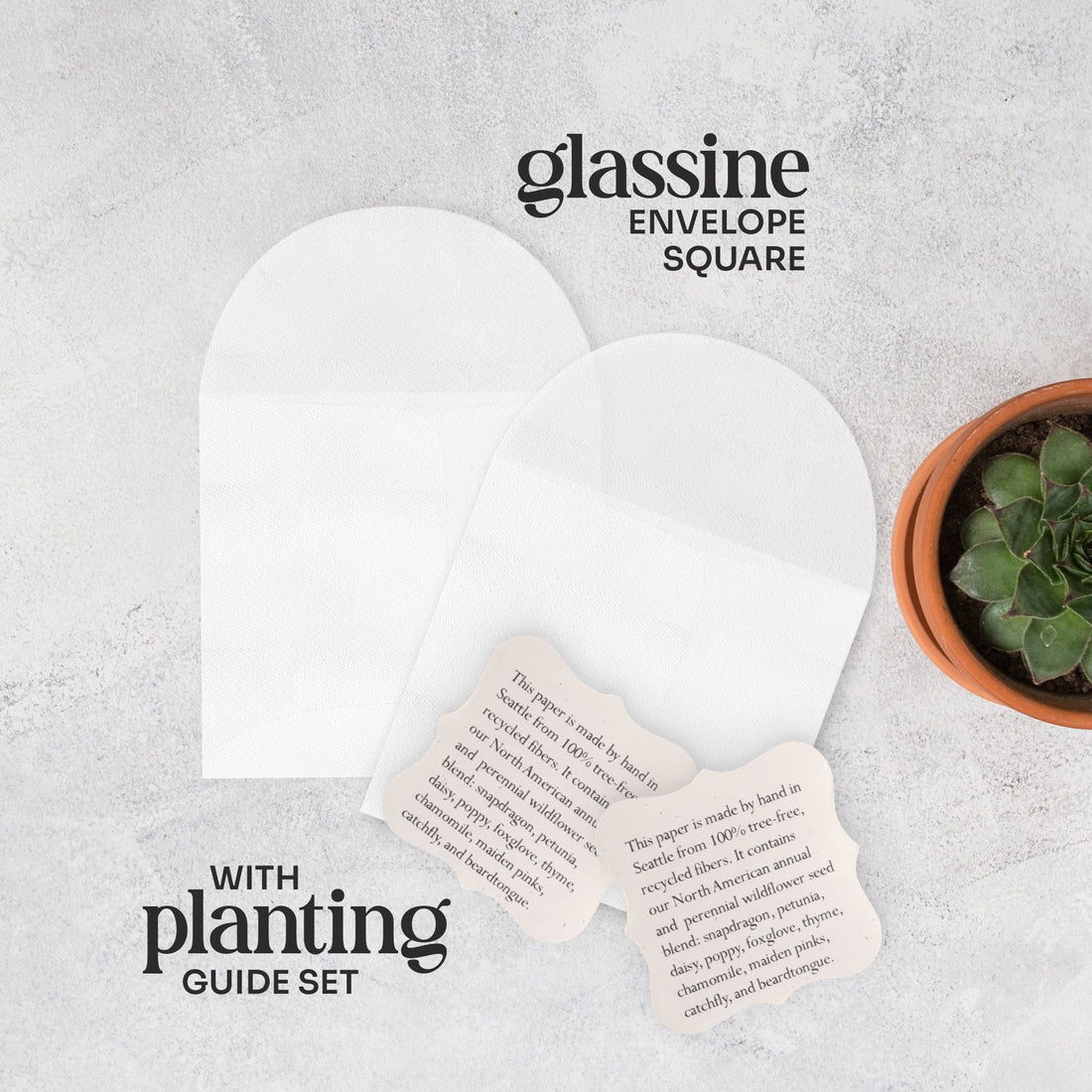 Onesie Plantable Seed Paper – Set of 24 - Seed Bloom Gifts