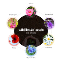 Thank You Set Plantable Seed Paper– Set of 6 - Seed Bloom Gifts