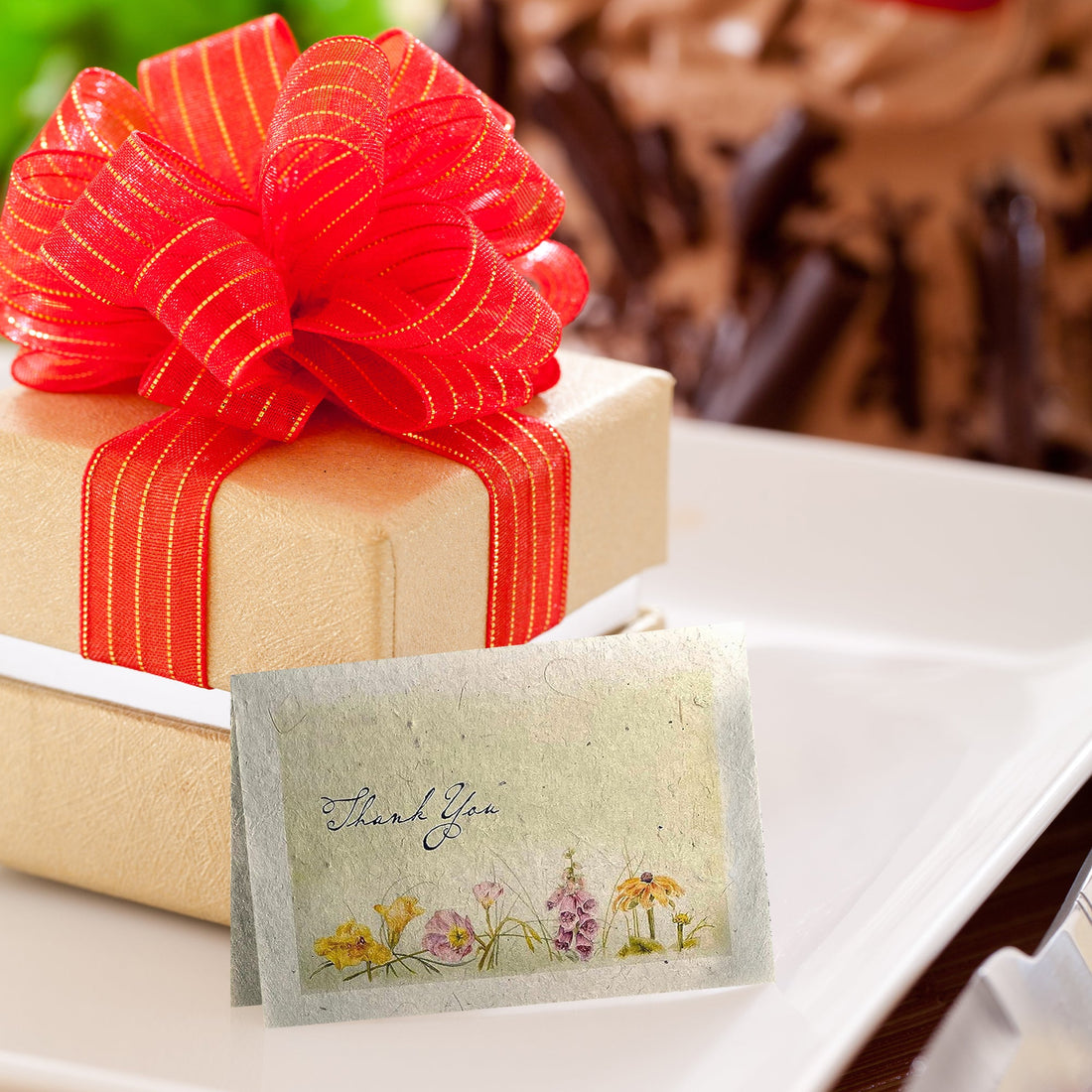 Sustainable Thank You card set – 6 plantable notes from Seed Bloom Gifts.