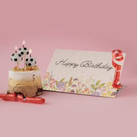 Birthday Set Plantable Seed Paper - Seed Bloom Gifts