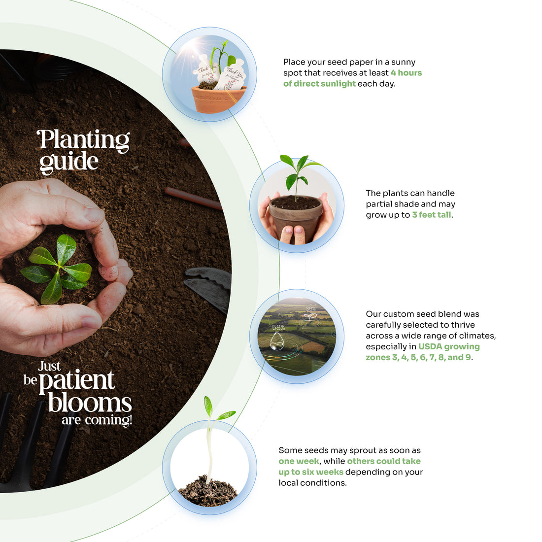 Pink Hearts & White Pots with Bow Plantable Seed Paper – Set of 6 - Seed Bloom Gifts