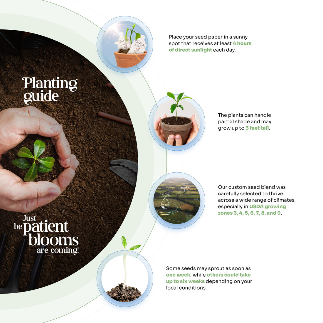 Purple Hearts & White Pots with Bow Plantable Seed Paper – Set of 6 - Seed Bloom Gifts