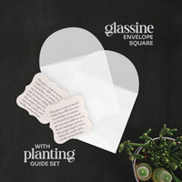 Mixed Heart Plantable Seed Paper – Set of 24 - Seed Bloom Gifts