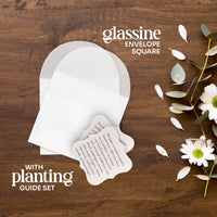 Pink Butterfly Plantable Seed Paper – Set of 24 - Seed Bloom Gifts