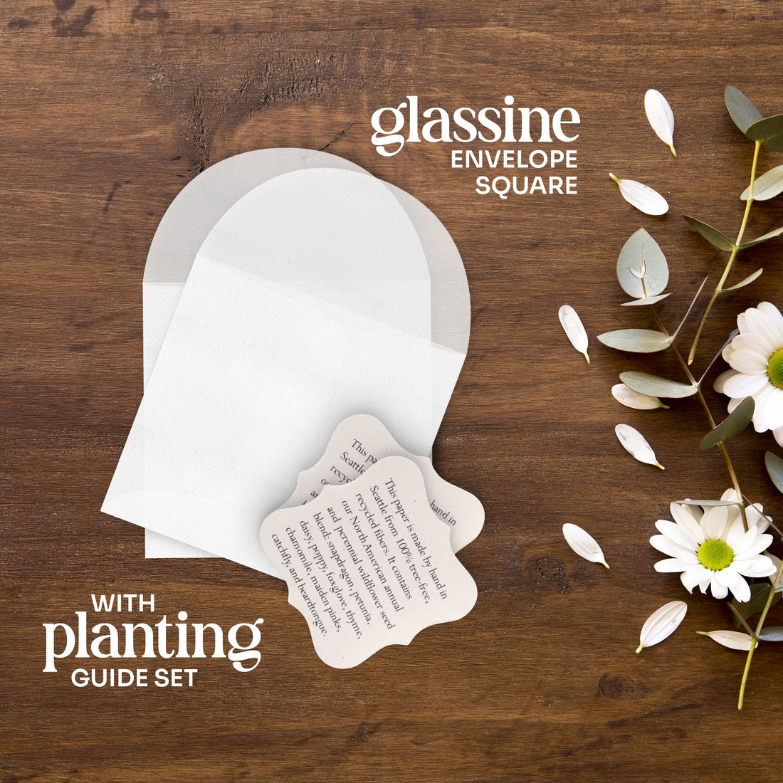 Pink Butterfly Plantable Seed Paper – Set of 24 - Seed Bloom Gifts