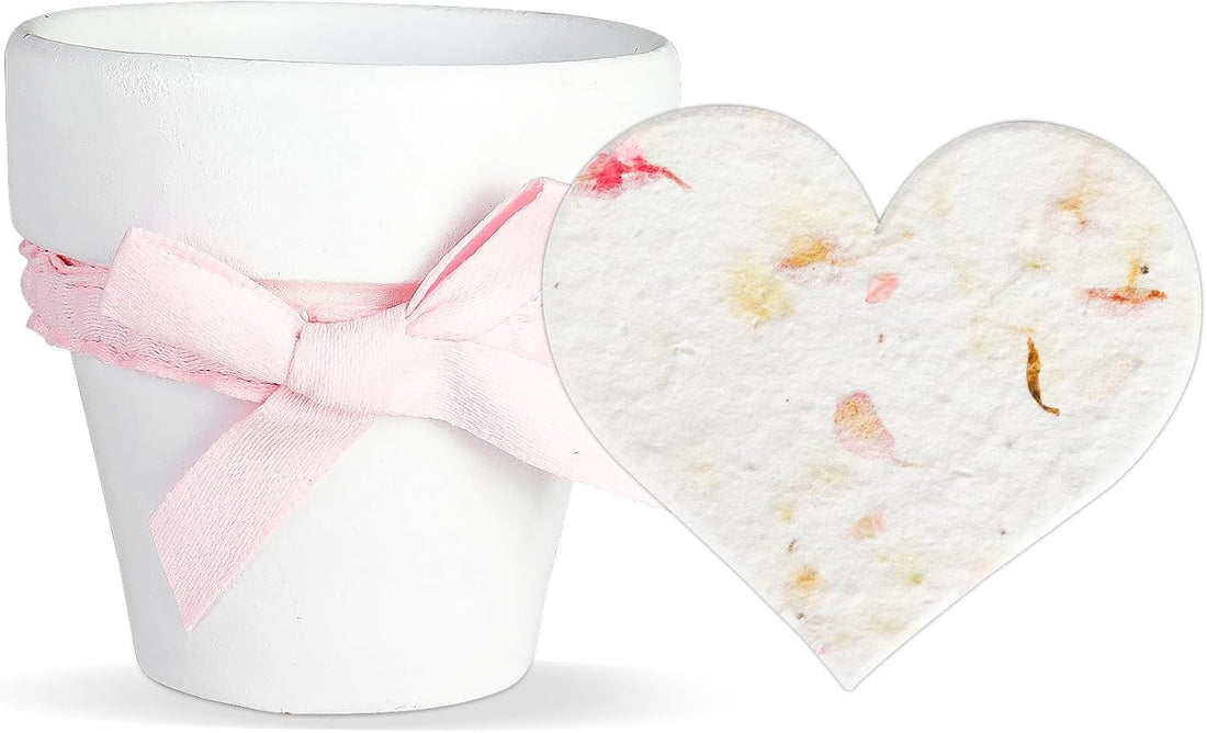 Pink Hearts & White Pots with Bow Plantable Seed Paper – Set of 6 - Seed Bloom Gifts