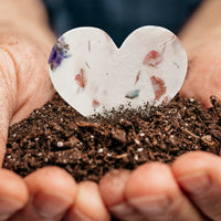 Mixed Heart & Pink Butterfly Plantable Seed Paper – Set of 48 - Seed Bloom Gifts