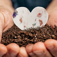 Mixed Heart & Pink Butterfly Plantable Seed Paper – Set of 48 - Seed Bloom Gifts