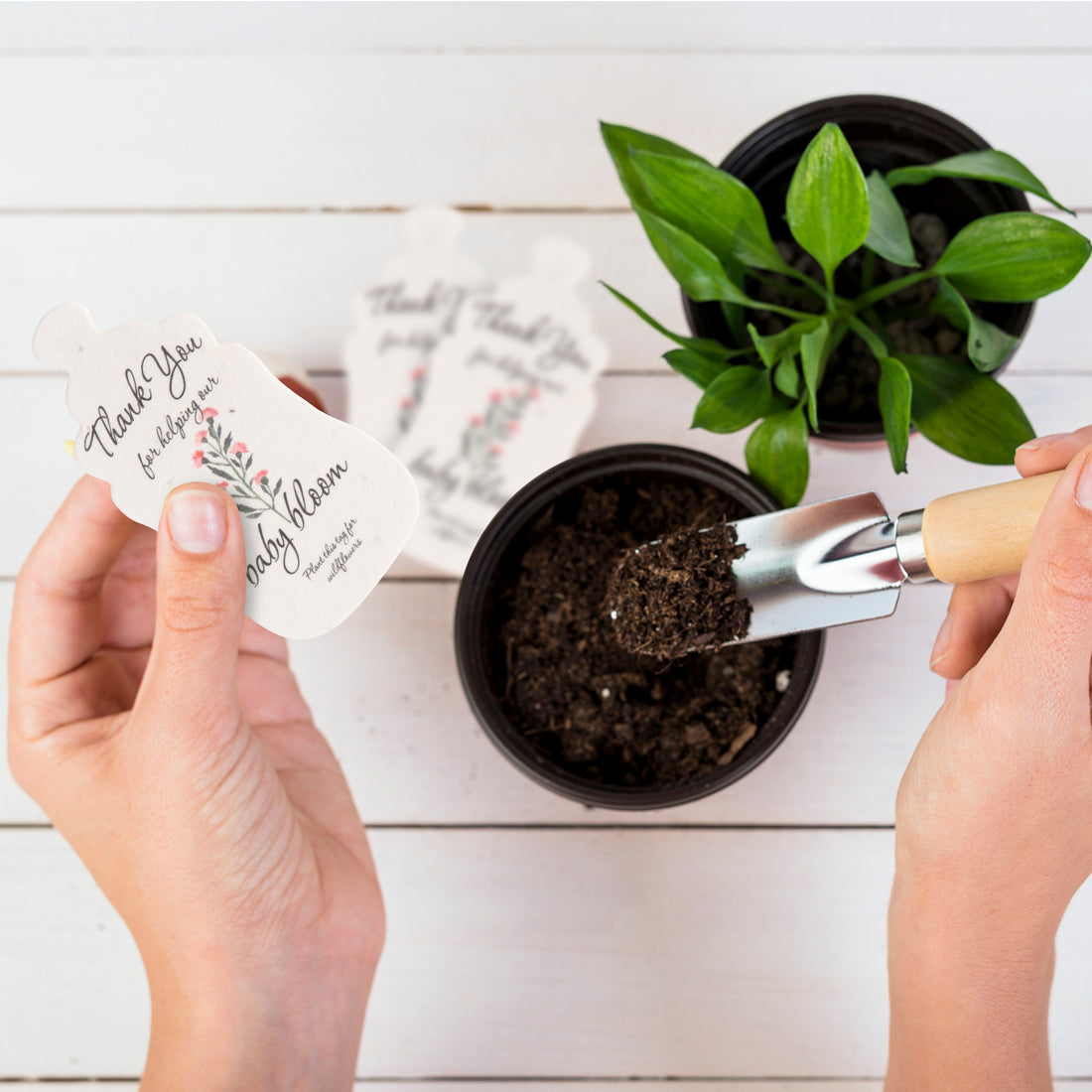 Baby Bottles Plantable Seed Paper– Set of 5 (Pink) - Seed Bloom Gifts