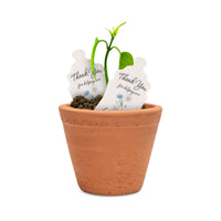 Baby Bottles Plantable Seed Paper– Set of 5 (Blue) - Seed Bloom Gifts