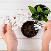 Baby Bottles Plantable Seed Paper– Set of 5 (Blue) - Seed Bloom Gifts