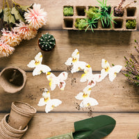 Yellow butterfly-shaped seed paper for weddings, baby showers, or memorials β Seed Bloom Gifts.