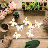 Yellow butterfly-shaped seed paper for weddings, baby showers, or memorials β Seed Bloom Gifts.