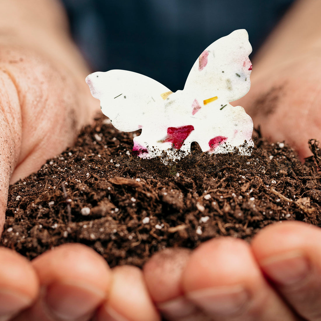 Large Pink Butterfly Plantable Seed Paper – Set of 50 - Seed Bloom Gifts