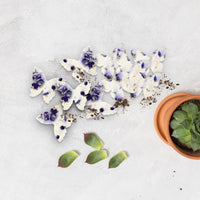 Large Purple Butterfly Plantable Seed Paper β Set of 50 - Seed Bloom Gifts