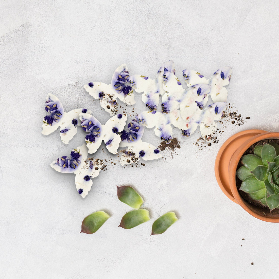 Large Purple Butterfly Plantable Seed Paper – Set of 50 - Seed Bloom Gifts