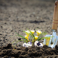 Large Purple Heart Plantable Seed Paper – Set of 50 - Seed Bloom Gifts