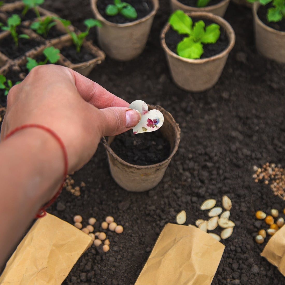 Large Pink Heart Plantable Seed Paper – Set of 50 - Seed Bloom Gifts