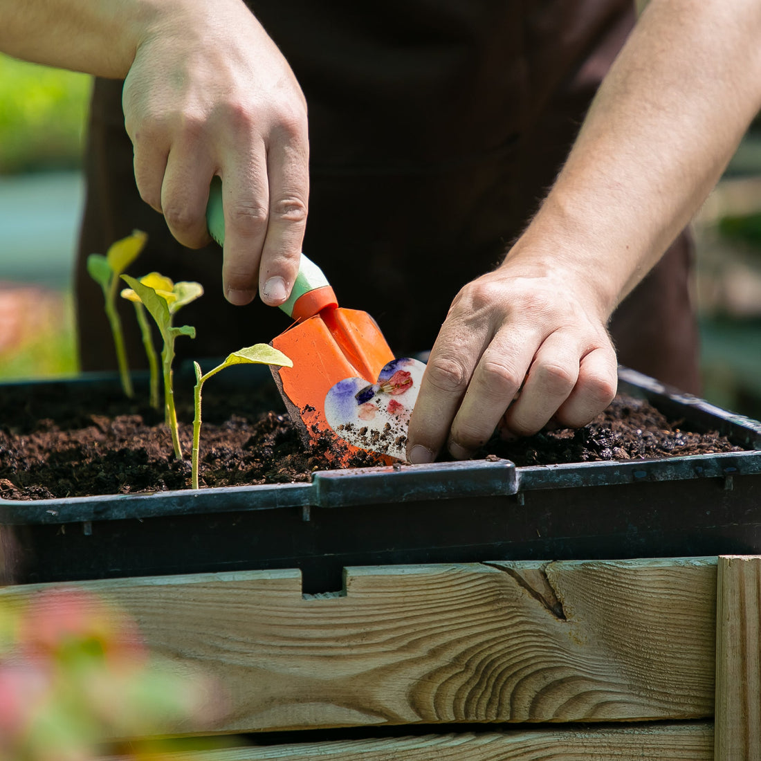 Small Pink & Purple Heart Plantable Seed Paper – Set of 50 - Seed Bloom Gifts
