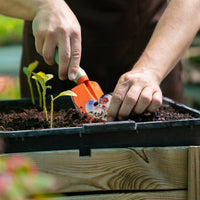 Small Pink & Purple Heart Plantable Seed Paper – Set of 50 - Seed Bloom Gifts