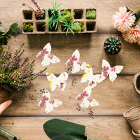 Small Pink & Yellow Butterfly Plantable Seed Paper – Set of 50 - Seed Bloom Gifts