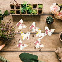 Small Pink & Yellow Butterfly Plantable Seed Paper – Set of 50 - Seed Bloom Gifts