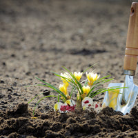 Small Pink & Yellow Heart Plantable Seed Paper – Set of 50 - Seed Bloom Gifts