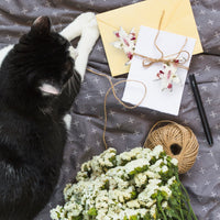 Pink Cat Plantable Seed Paper β Set of 24 - Seed Bloom Gifts