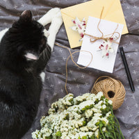 Pink Cat Plantable Seed Paper β Set of 24 - Seed Bloom Gifts