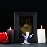 Touching pet memorial setup featuring the Plantable Seed Paper Purple Pet Cat Memorial Favors by Seed Bloom Gifts alongside a framed photo and burning candles.