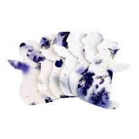 Purple Dog Plantable Seed Paper β Set of 24 - Seed Bloom Gifts