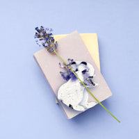 Purple Dog Plantable Seed Paper β Set of 24 - Seed Bloom Gifts
