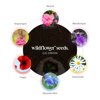 Infographic showing the US-origin wildflower seed mix used in the Pink and Yellow Blank Tags Plantable Seed Paper by Seed Bloom Gifts, listing Petunia, Poppy, and Chamomile.