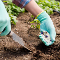 A person wearing teal gardening gloves and a plaid shirt is shown kneeling in a garden, holding a Purple Blank Tags Plantable Seed Paper by Seed Bloom Gifts in one hand and a small trowel in the other, ready to plant.
