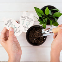 Baby Bottles Plantable Seed Paper – Set of 15 (Green) - Seed Bloom Gifts