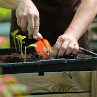 Pink & Yellow Hummingbird Plantable Seed Paper – Set of 24 - Seed Bloom Gifts