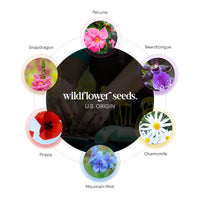 Onesie Plantable Seed Paper - Set of 15 (Pink) - Seed Bloom Gifts