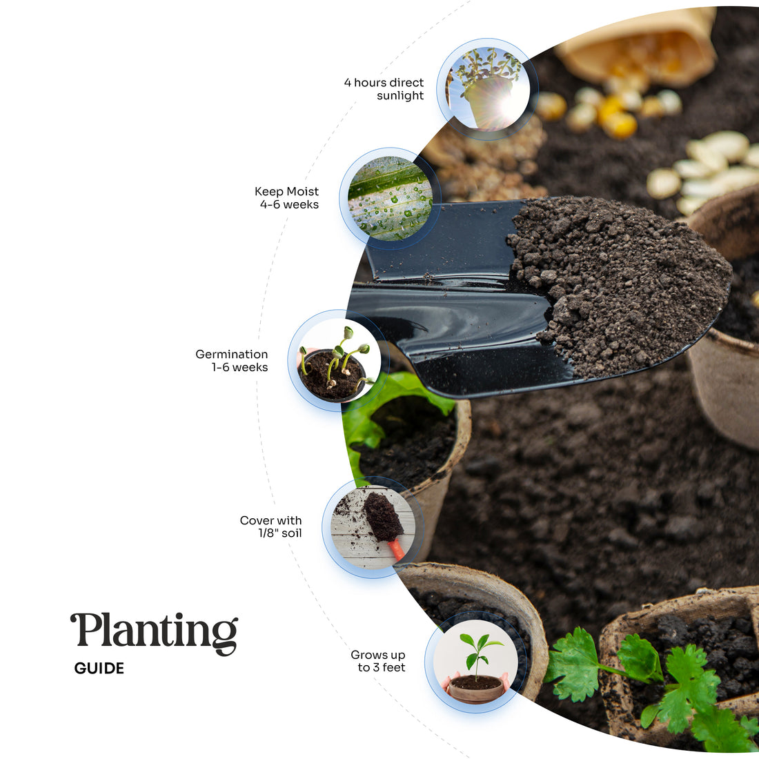 Onesie Plantable Seed Paper - Set of 15 (Pink) - Seed Bloom Gifts