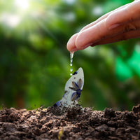 Purple Hummingbird Plantable Seed Paper - Set of 24 Animal or Pet Memorial Favors - Seed Bloom Gifts