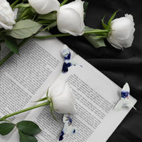 Purple Hummingbird Plantable Seed Paper - Set of 24 Animal or Pet Memorial Favors - Seed Bloom Gifts