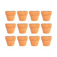 Mini Orange Terracotta Pots - Set of 12