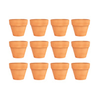 Mini Orange Terracotta Pots - Set of 12