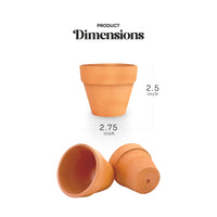 Mini Orange Terracotta Pots - Set of 12