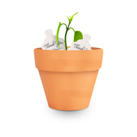 Mini Orange Terracotta Pots for Seed Bloom Gifts