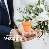 Mini Orange Terracotta Pots - Set of 12 - Seed Bloom Gifts