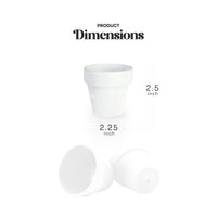 Mini White Terracotta Pots - Set of 12 - Seed Bloom Gifts